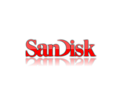 SanDisk 64GB Class 10 micro SD CARD